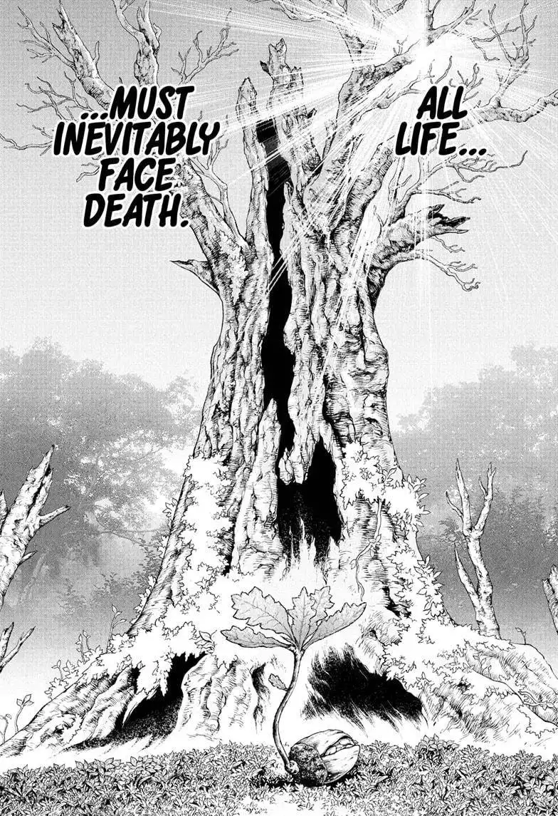 Dr. Stone Chapter 230 1